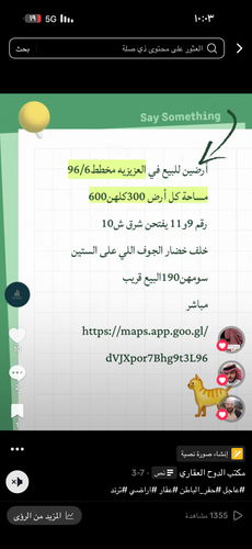 IMG 0309.png