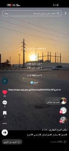 IMG 0316.png