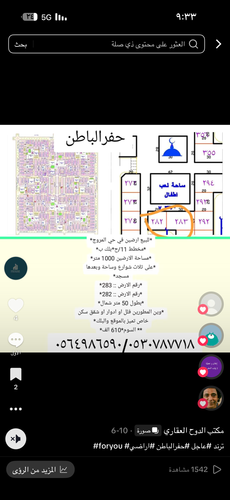 IMG 0262.png
