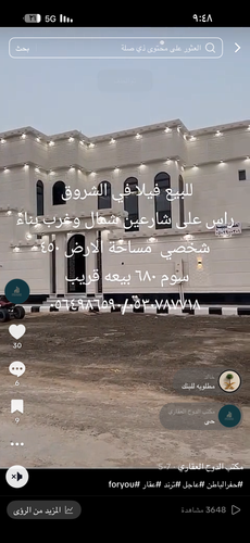 IMG 0286.png