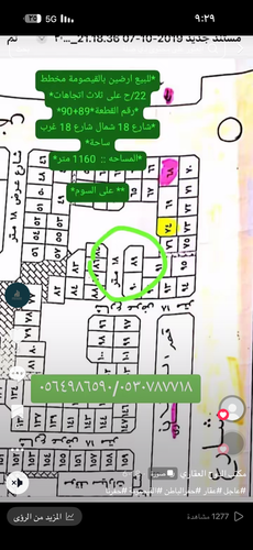 IMG 0248.png