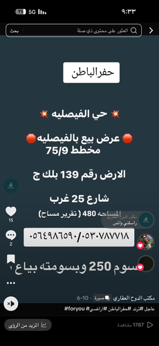 IMG 0260.png