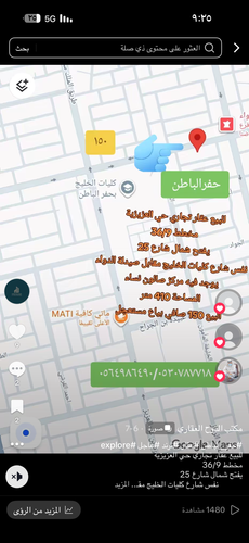 IMG 0239.png