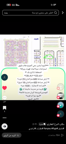 IMG 0334.png