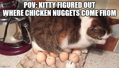 Chicken DLC Leaked, #Caturday Hits Different.jpg