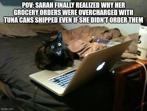 Certified tuna dealer caught in 4k on #Caturday.jpg