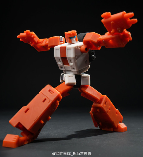 y47 (21).jpg