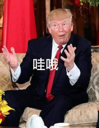 程序员 reaction：特朗普00019 哇哦