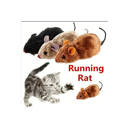 2515598957682f9c.jpg