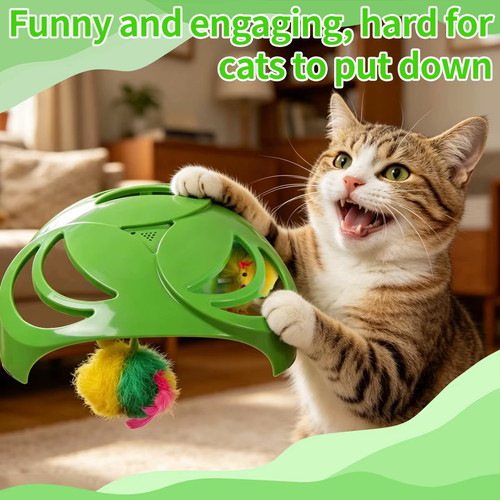 d9cd6bd4c22e886b.jpg