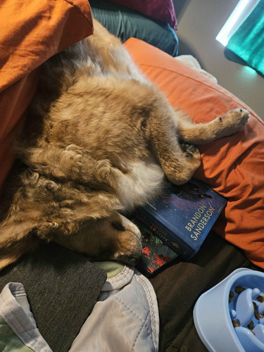 book guardian.jpg