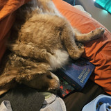 book guardian