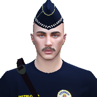 a029a2296e19.png