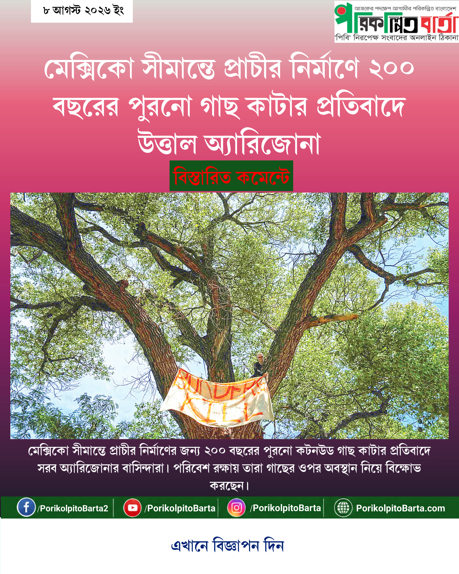 মেক্সিকো সীমান্তে প্রাচীর নির্মাণে ২০০ বছরের পুরনো গাছ কাটার প্রতিবাদে উত্তাল অ্যারিজোনা