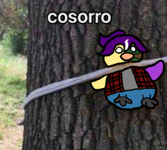CosorroFran.png