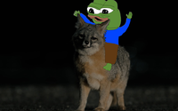 image.2