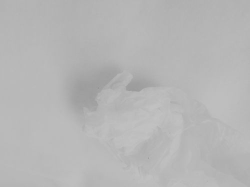 temp.2