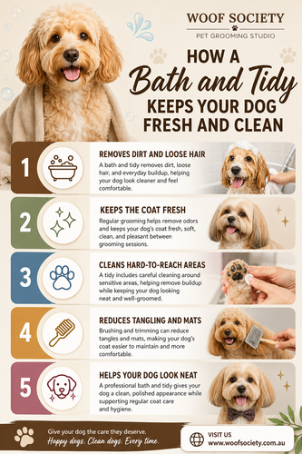 How a Bath and Tidy Keeps Your Dog Fresh and Clean.2