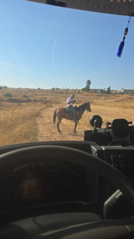 صورة الخبر