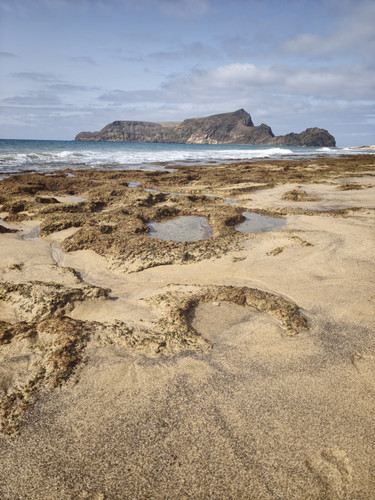 IMG 20260801 103945.jpg