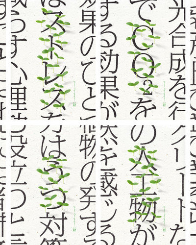 green newspaper 4 1.jpg