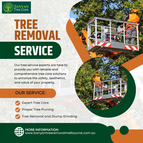 Clearing Your Property with Expert Tree Removal.jpg