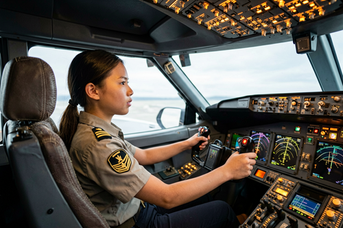 batch 11 a320 cockpit feature 161758 2.png