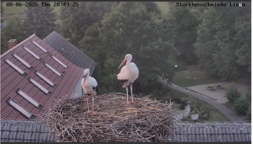 MWSnap318.jpg
