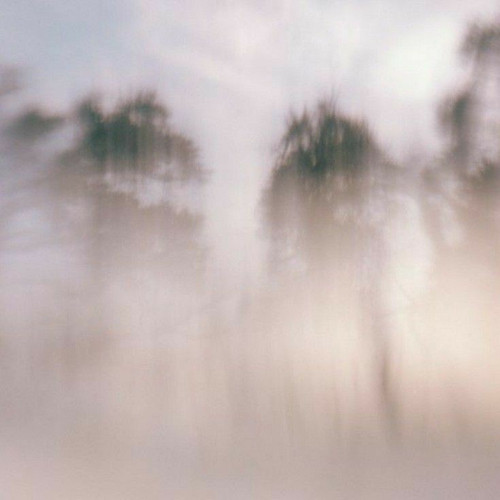 1000066852.jpg