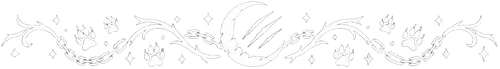 20x7z8van9rmt0czz7wbfd4t5w preview 0 ezremove.png