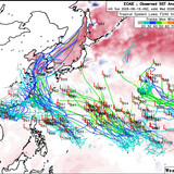 2026081606 ECAIE(AIFS) 240 1