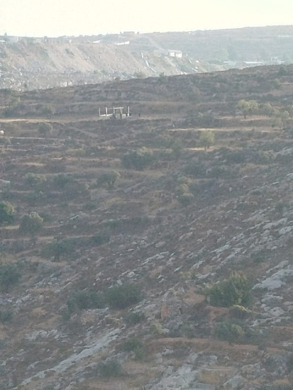 صورة الخبر