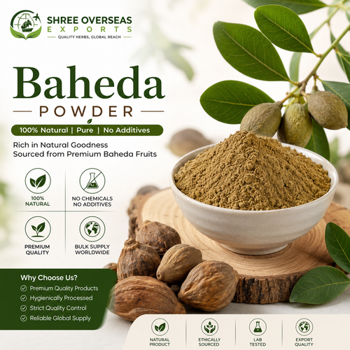 Haritaki Powder Bulk Supplier Quality, Sourcing, Applications and Wholesale Buying Guide.png