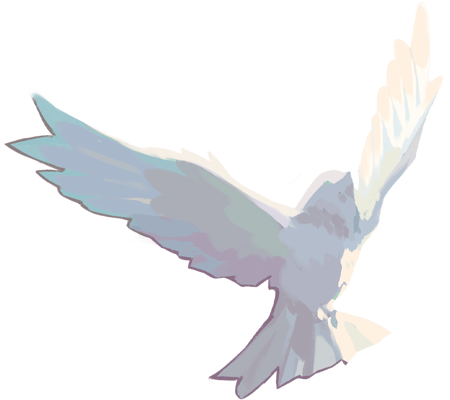 IMG 3025.png