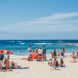 Plett Rage Day 6 Web Social Resolution 2