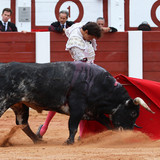 CsBfO74.th.jpg
