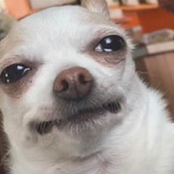 1000065515