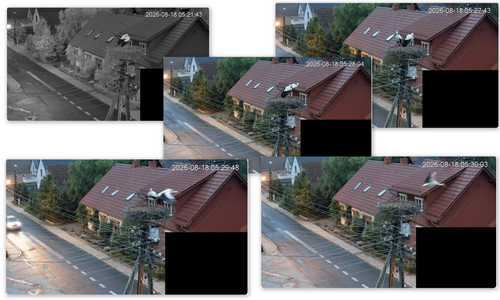 Bilder12.jpg