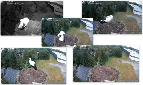 Bilder4.jpg