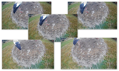 Bilder5.jpg