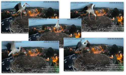 Bilder10.jpg