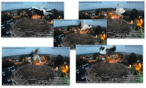 Bilder8.jpg