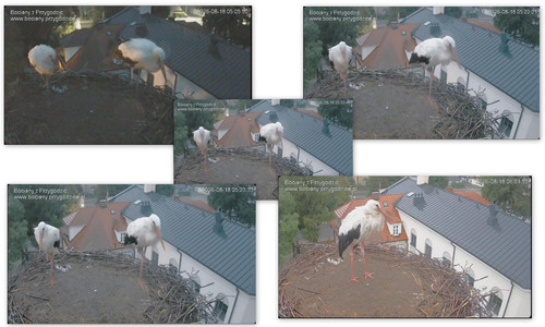 Bilder6.jpg