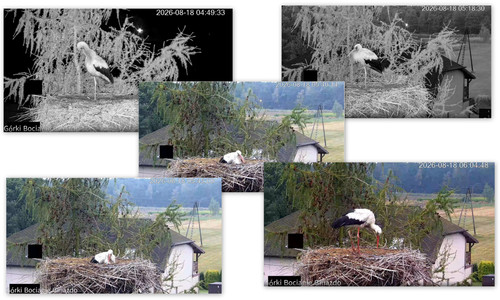 Bilder3.jpg