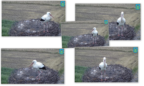 Bilder13.jpg