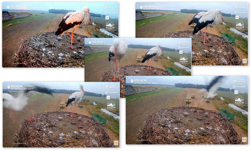 Bilder7.jpg