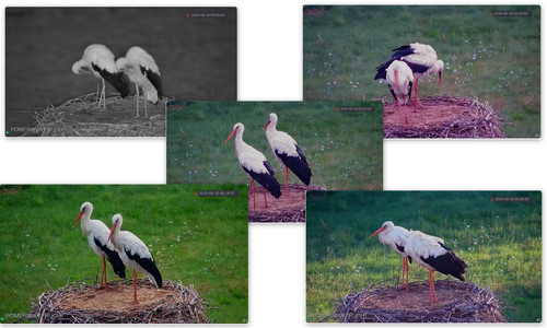 Bilder11.jpg