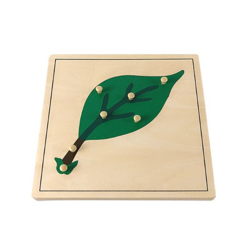 Montessori Puzzle Maps.jpg