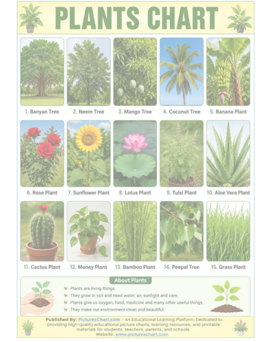 Plants Pictures Chart.png