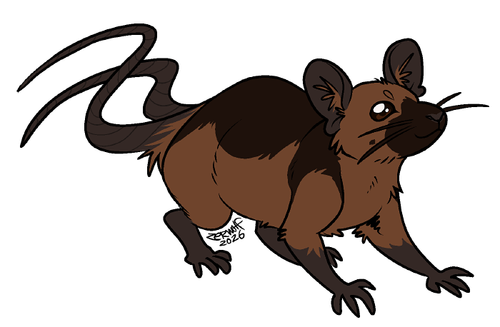 Choko.png